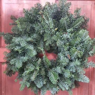 Wreaths