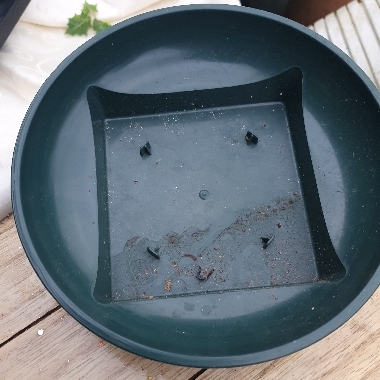 large square bottom dish