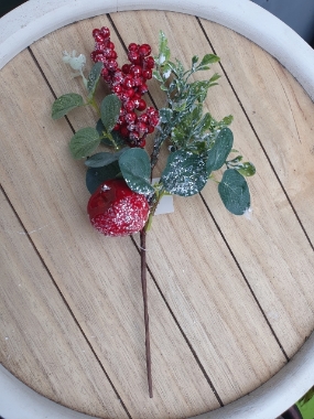 eucalyptus red berry + apple pick