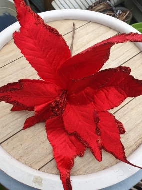 large red poinsettia pick