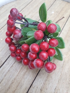 red frosted berry bunch