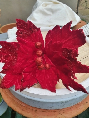 red velvet poinsettia glitter edge