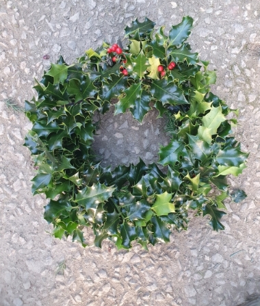 Undecorated holly wreath